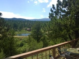 385 Elk Creek Dr, Bailey, CO 80421