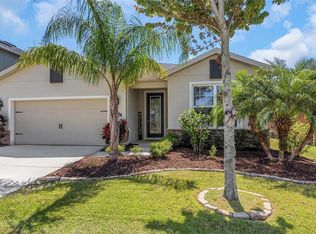 11142 Spring Point Cir, Riverview, FL 33579