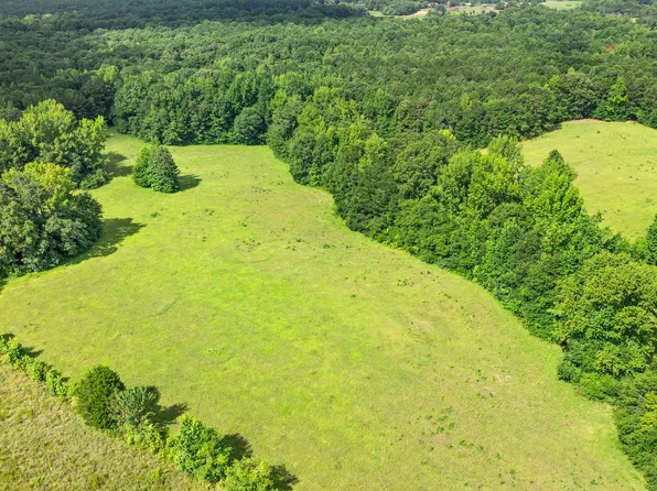 0 Ray Rd, Gay, GA 30218