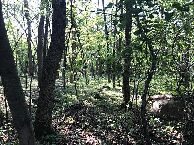 1st image of 125 Oak Turnagain Ct
