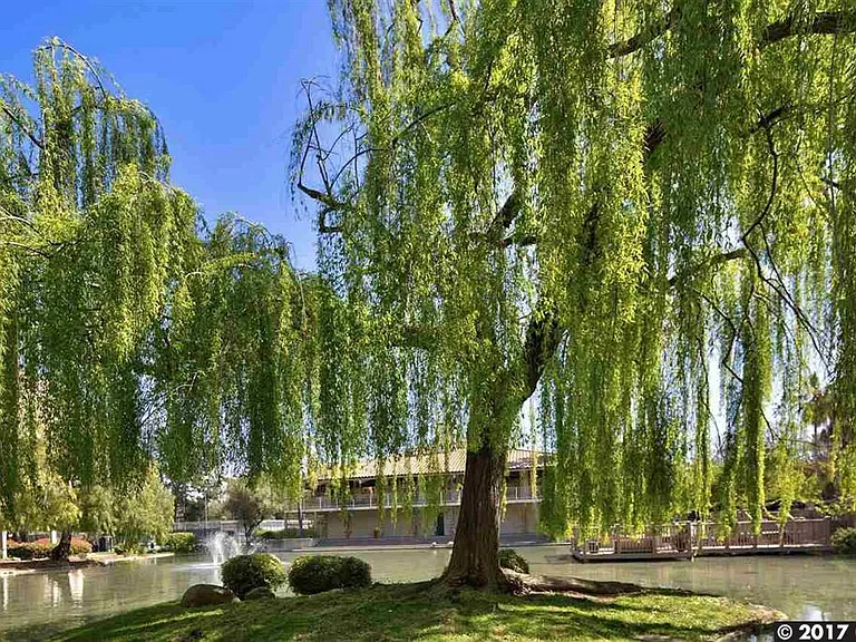 Grounds