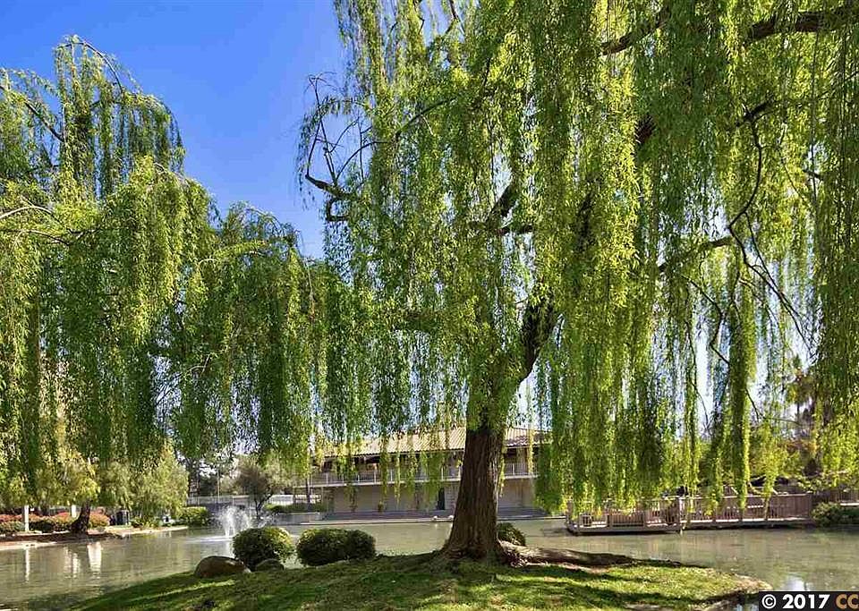 Grounds