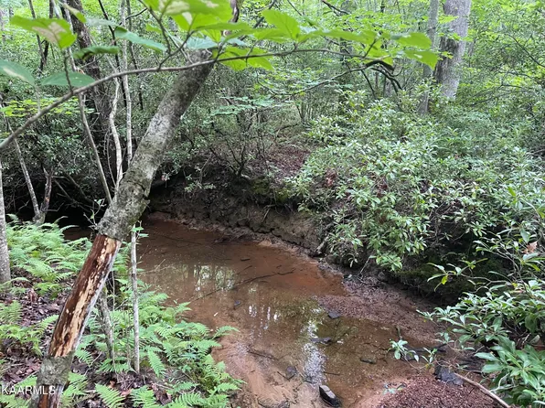 14 T Pl #4, Monterey, TN 38574
