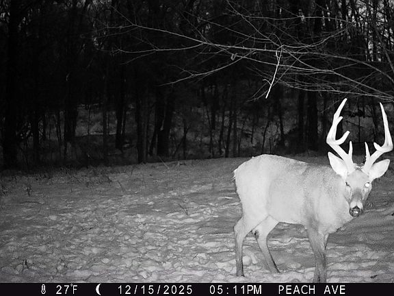 2nd image of 21542 Peach Ave