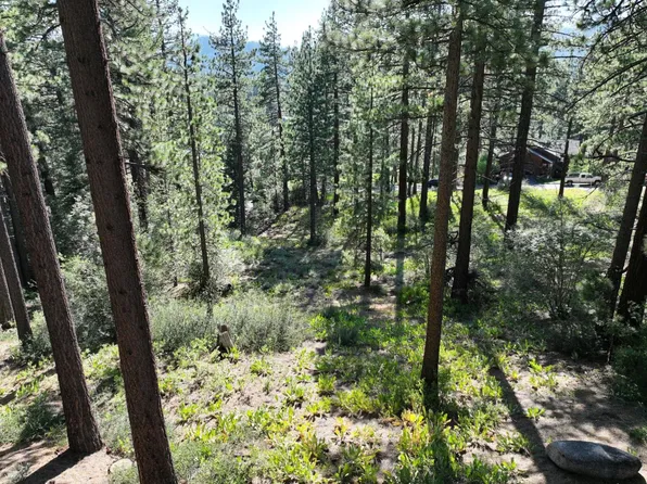 881 Onnontioga St, South Lake Tahoe, CA 96150