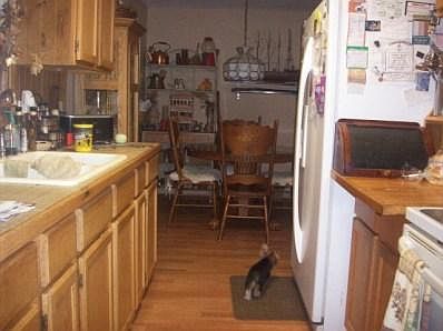 3rd image of 1514 Candleberry St