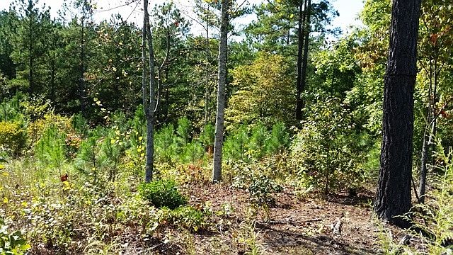 1st image of 3187 Panoramic Vista Ct NE