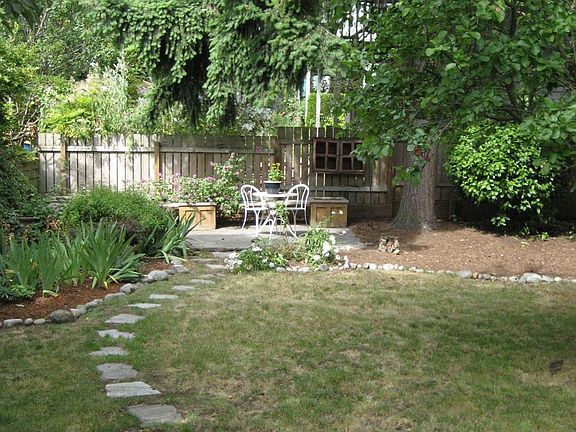 Back yard (in spring)