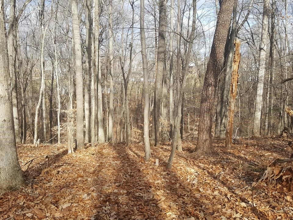 2nd image of 11 Ridgeview Ln Lot 11
