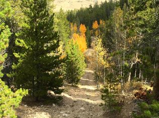 28 Mount Elbert Dr, Twin Lakes, CO 81251