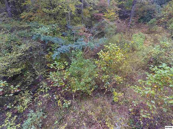 4th image of 0 Ball Hollow Rd Lot 1