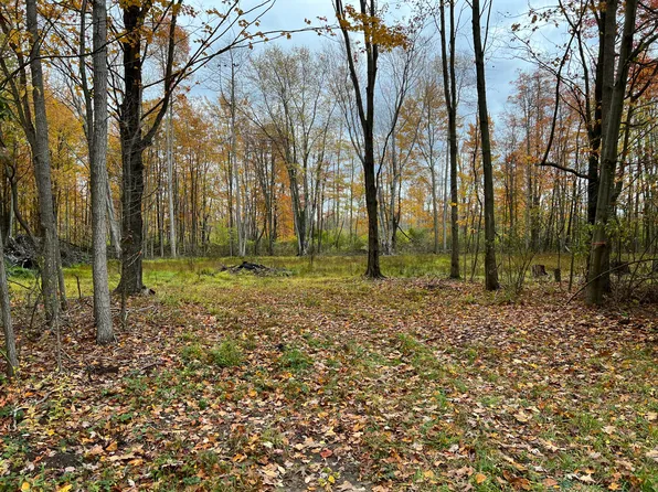 0 71st St, Fennville, MI 49408