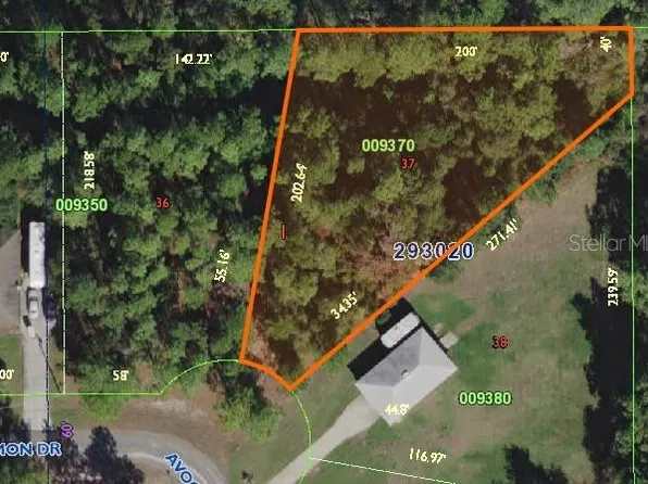 Avacado Dr Lot 37, Lake Wales, FL 33898