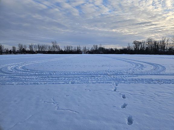 3rd image of 12100 Griffin Rd