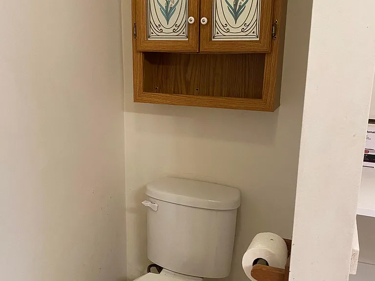 bathroom (1st floor)