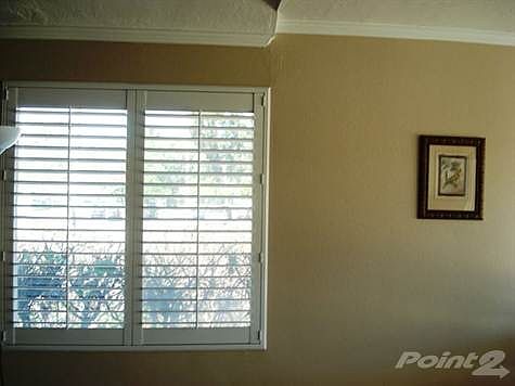 Plantation Shutters