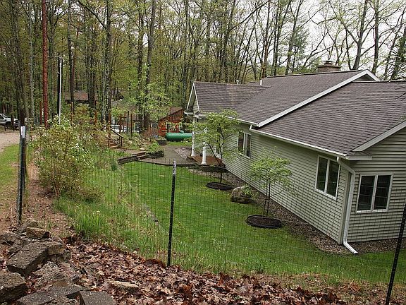 Back yard