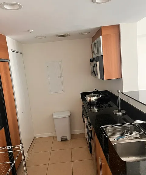 335 S Biscayne Blvd #3006 — Photo 5