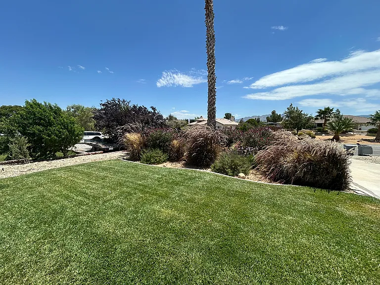 7146 Amanda Way — Photo 3