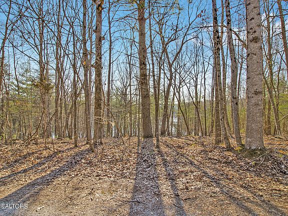 3rd image of 30 Hunterwood Ct Lot 369