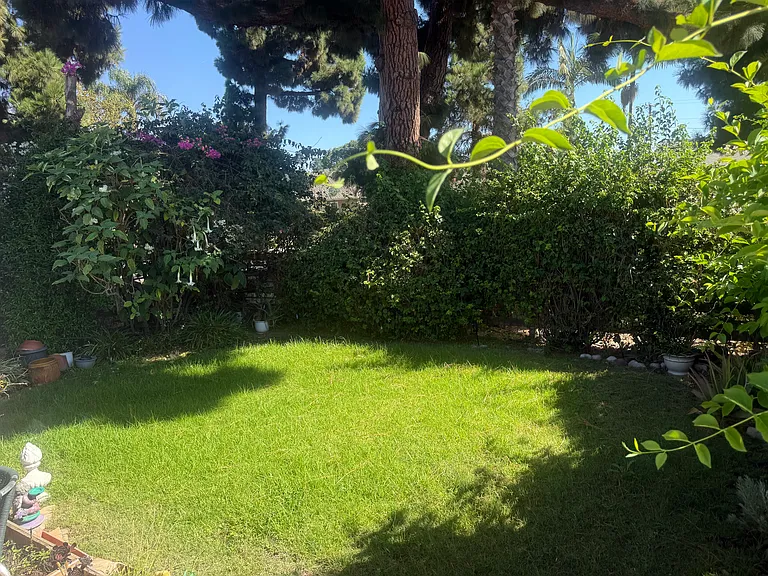 Granville Ave — Photo 25