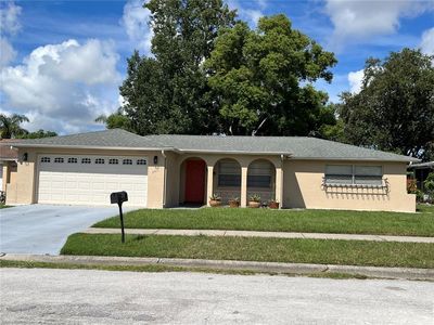 3411 Paloma Dr, Holiday, FL, 34690