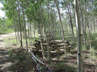 783 Night Hawk Cir, Como, CO 80432