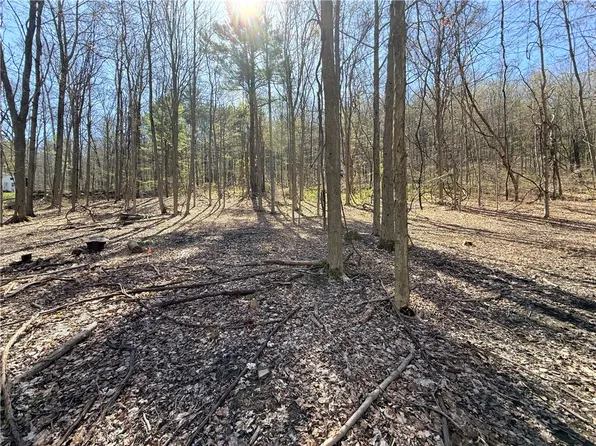 Fitzgerald Rd Lot 12, Burdett, NY 14818