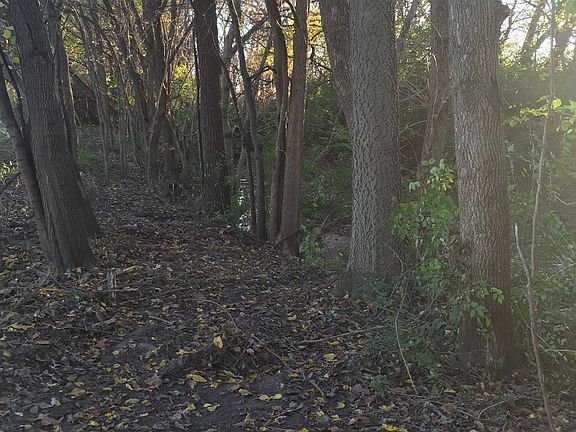 5th image of 3724 Roy Rogers Dr