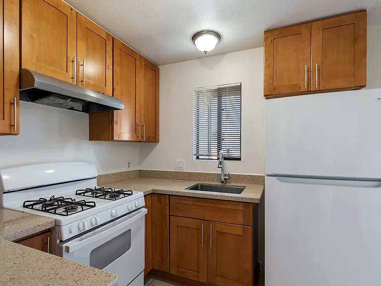 1729 E 15th St #4 — Photo 4