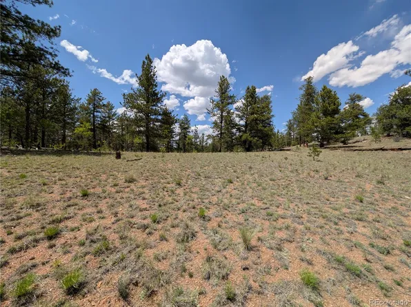 2053 Badger Creek Road LOT 071, Hartsel, CO 80449