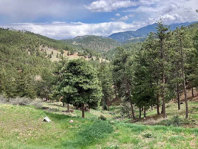 A different view in the springtime from your patio.