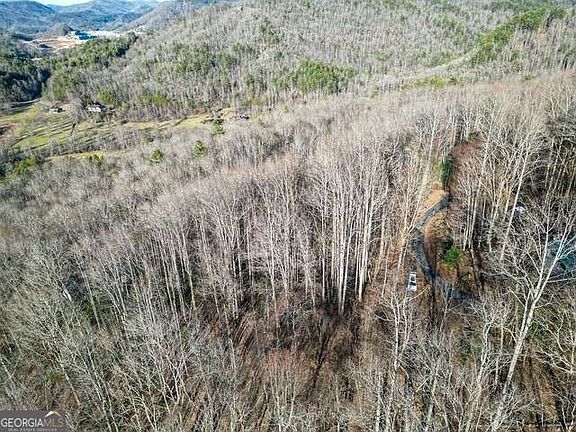 5th image of 0 Chestnut Mountain Dr