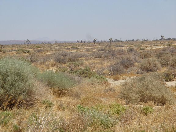 4th image of Avenue L #12