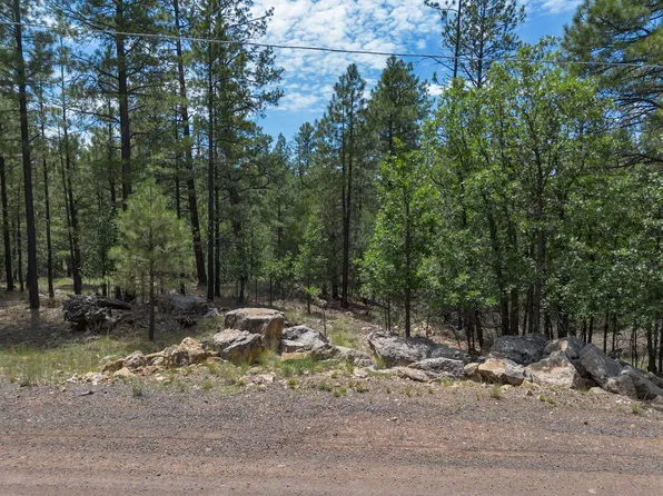 642 Jacks Canyon Dr, Happy Jack, AZ 86024