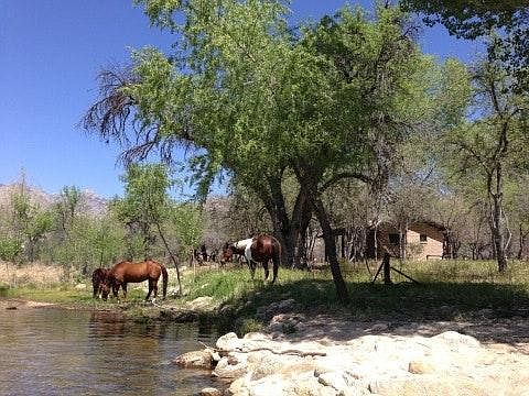 House along creek