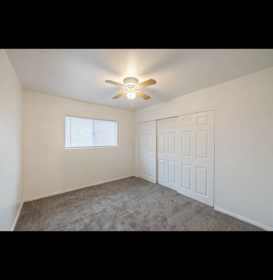 10737 Crab Apple Ln — Photo 3