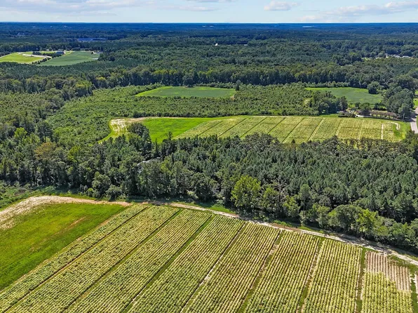0 Bray Rd #1 & 2, Bailey, NC 27807