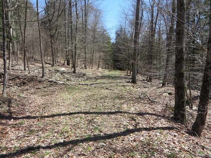 0 Old Bernice Rd LR17, Dushore, PA 18614 Zillow