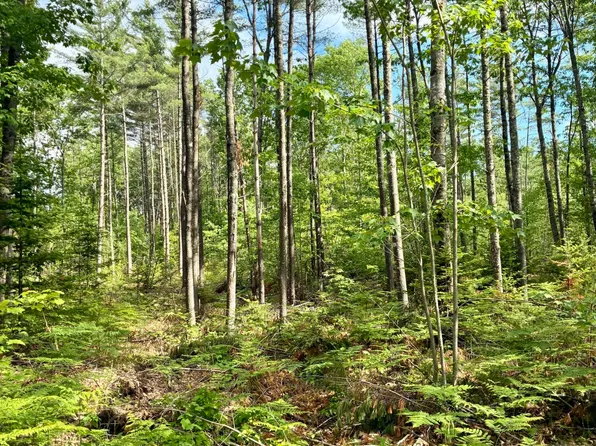 Lot 16 (2) Whittier Road, Farmington, ME 04938