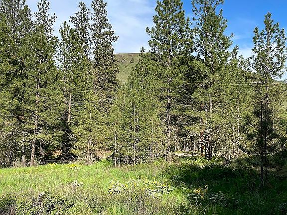 5th image of 00 Mill Canyon Rd N