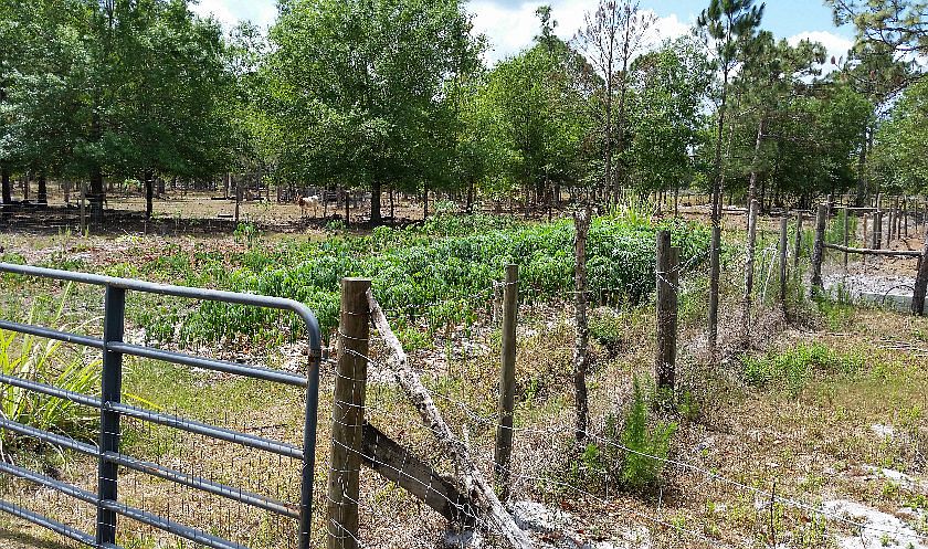 2nd image of 269 Arbuckle Branch Rd