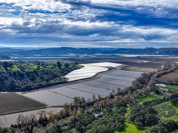 3rd image of Murphy Rd