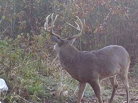 5th image of 2232 State Route 83 Rd