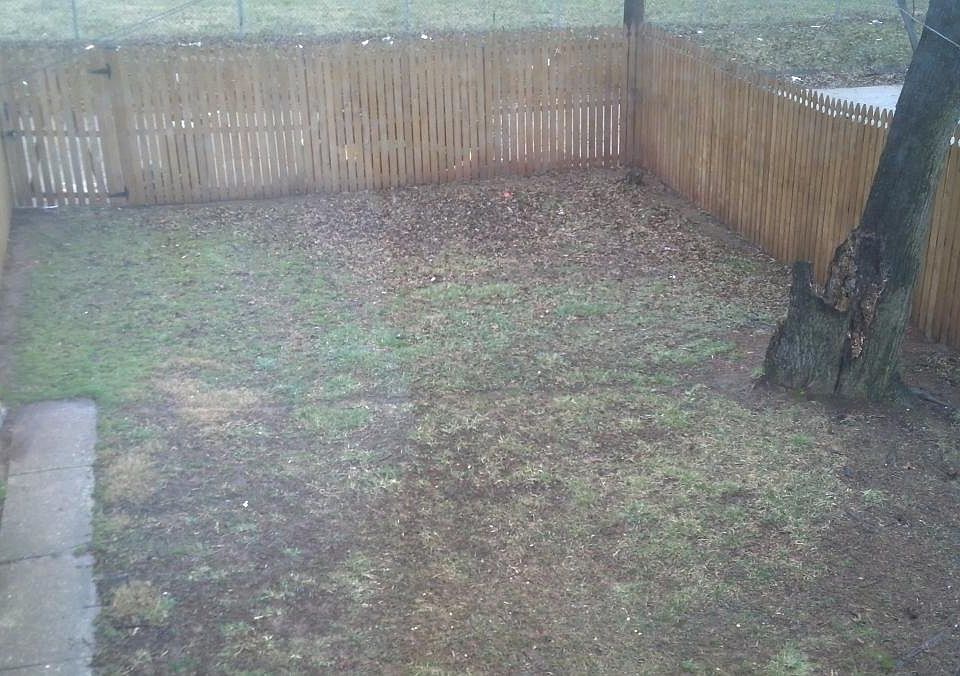 Back yard
