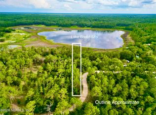0 Silver Dollar Pond Rd, Hawthorne, FL 32640