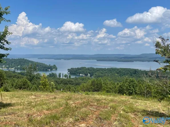 Benson Rd, Scottsboro, AL 35769