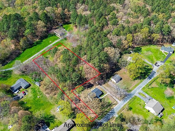 3rd image of Forest Rd
