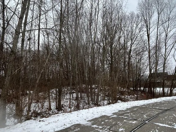 0 Brandi Ln, Fowlerville, MI 48836