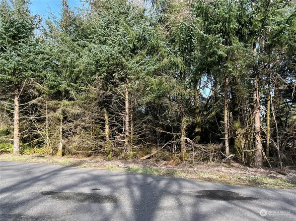 216 SE Werner Court, Ocean Shores, WA 98569